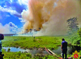 GDF deploys aerial water drops to contain Moblissa savannah fire