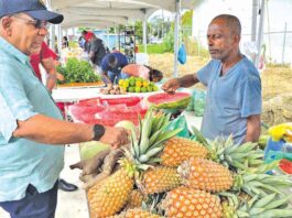 Govt moves to curb mass importation of fruits produced locally – Agri Minister