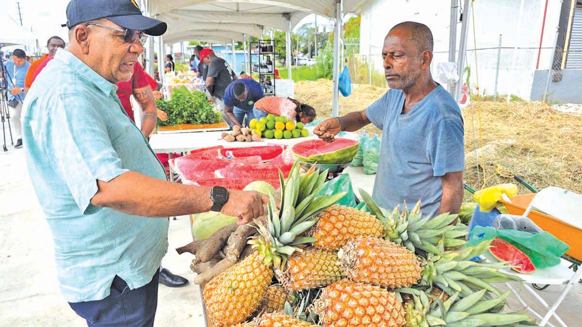 Govt moves to curb mass importation of fruits produced locally – Agri Minister