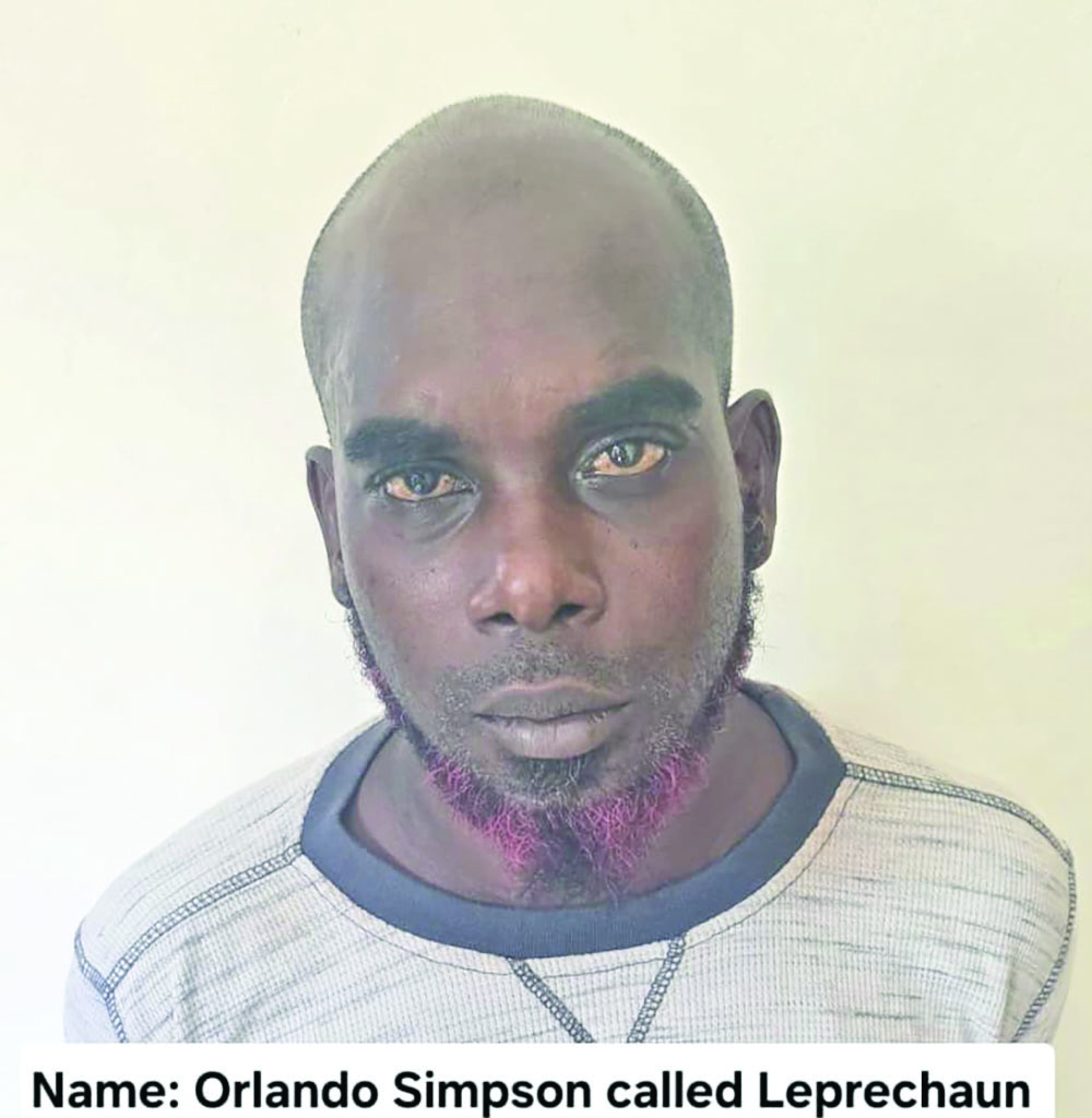 Mechanic jailed 2½ years for felonious wounding