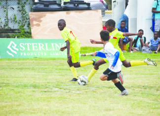 Leonora faces Belladrum in Courts Optical Pee Wee second round