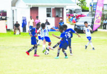 Courts Optical Pee Wee tournament kicks off today with 18 matches