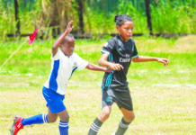 St Gabriel’s shine as wins flow in Courts Optical Pee Wee U11 Championships
