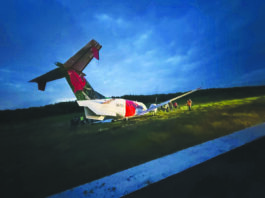 Airstrips incursions: Local airlines call for better inspections, perimeter security, wildlife control at runways