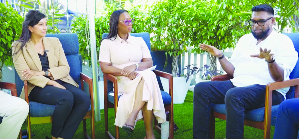 “It is for all of Guyana” – Pres Ali on new development bank app