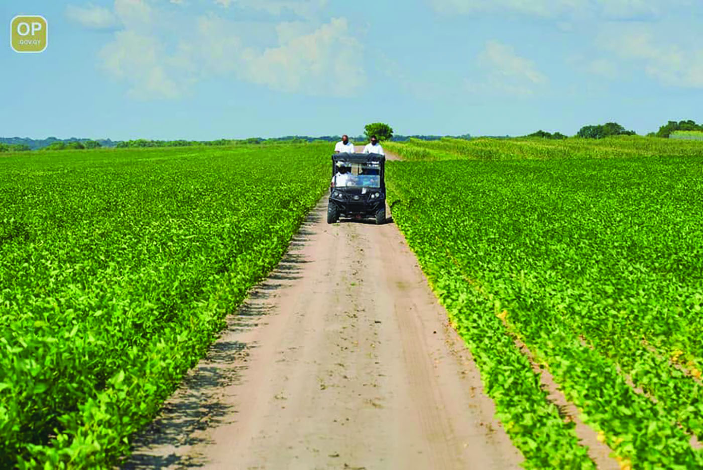 Guyana harvests over 7400 tonnes of corn, soybean in 1st half of 2026