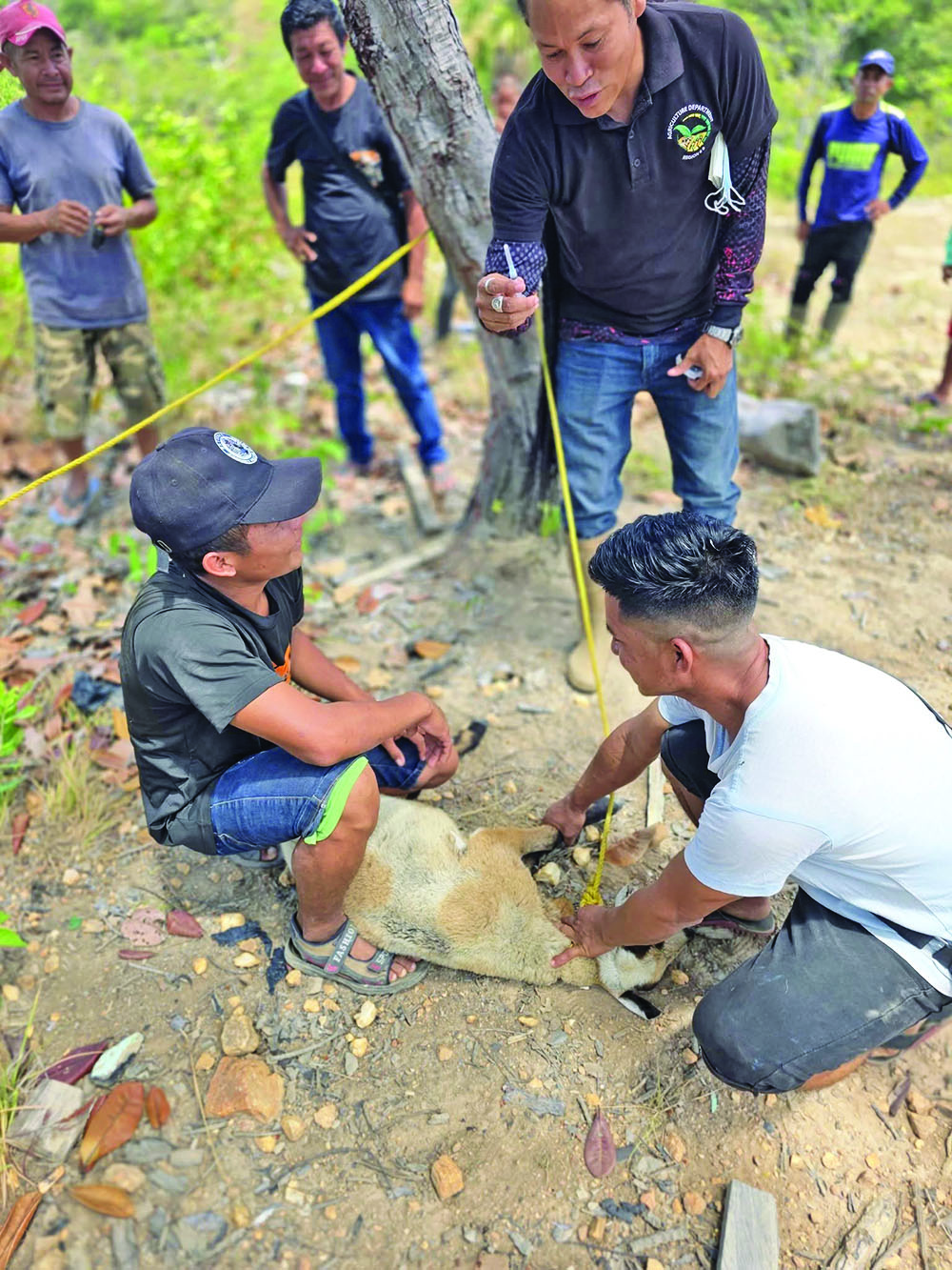 Region 9 farmers get hands-on training in livestock, crop production