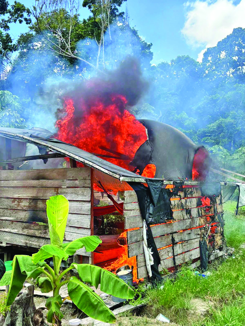$22M worth of ganja, makeshift camps destroyed by Police