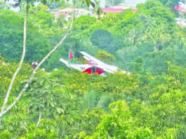 GCAA warns of growing animal runway incursions at aerodromes