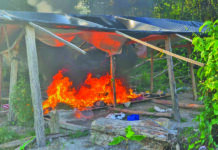 Police destroy $26.8M worth of ganja at Wiruni