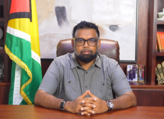 Govt moves to restrict importation of vapes, vaping products – Pres Ali