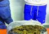 Over 23lbs of ganja found during Berbice raids
