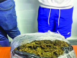 Over 23lbs of ganja found during Berbice raids