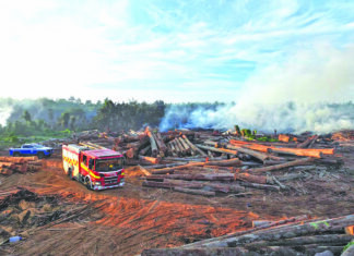 Alarming increase in fires: Deliberate destruction of Guyana’s forests will not be tolerated – MNR