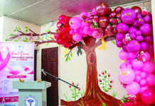 528 new cancer patients recorded so far this year – GPHC