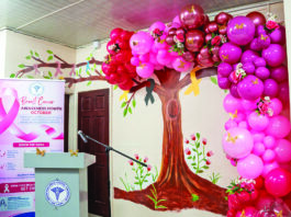 528 new cancer patients recorded so far this year – GPHC