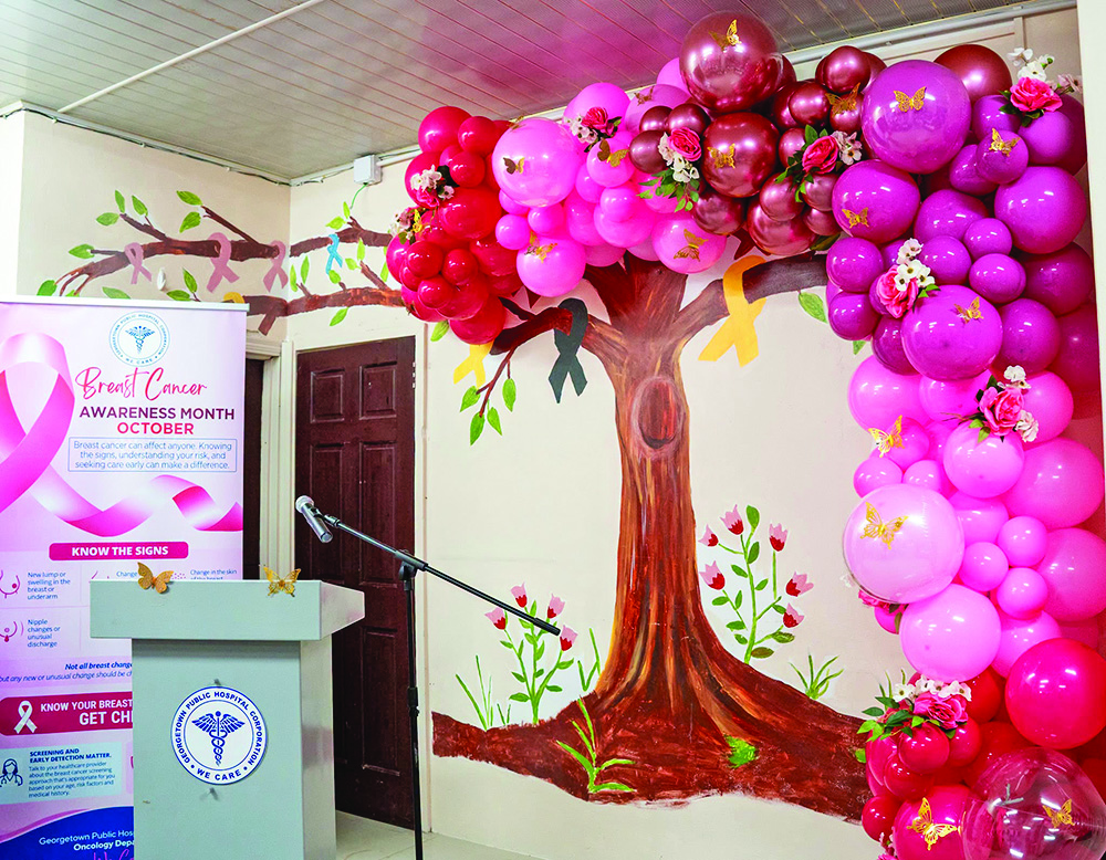 528 new cancer patients recorded so far this year – GPHC