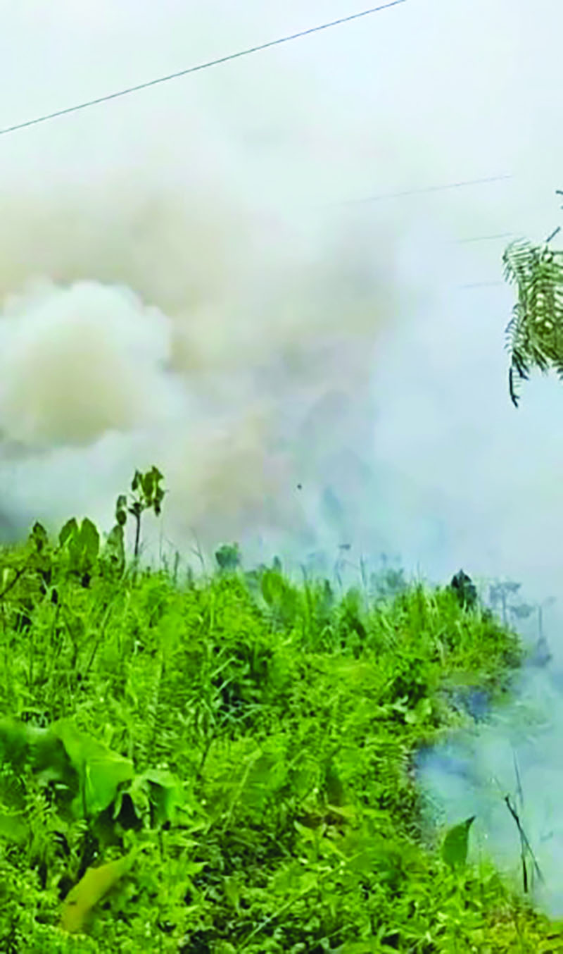 Firefighters avert threat to major GPL transmission lines at Craig