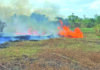 Smoke from Liliendaal grass fire affects homes