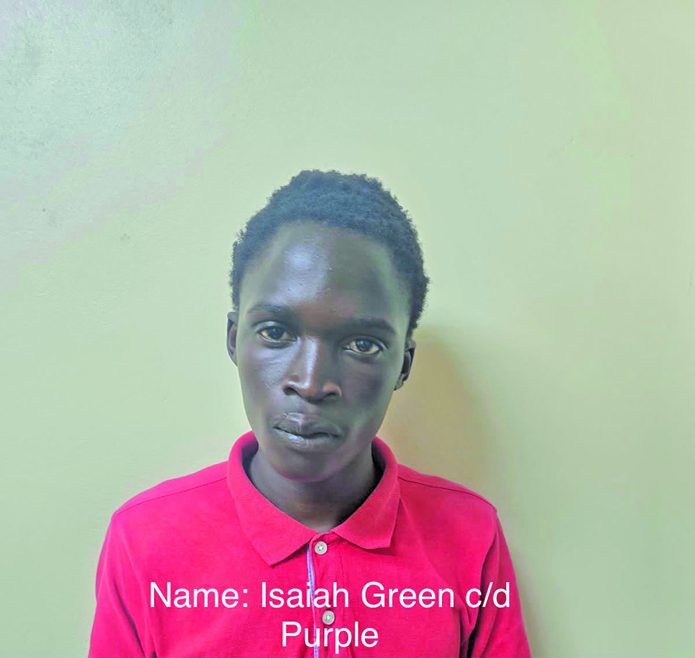 Linden teen sent to prison for armed robbery, discharging loaded firearm