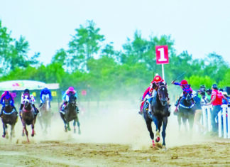 Top horses confirmed for Port Mourant’s Showdown of Champions