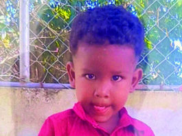 Toddler feared dead after disappearing while swimming with cousin