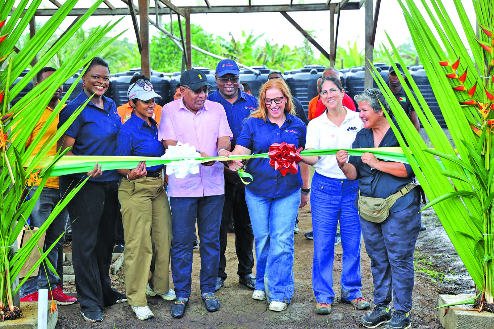 Govt commissions 2 shade houses to push women’s economic empowerment in Moruca