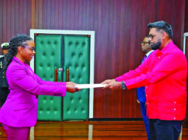 New Canadian High Commissioner presents credentials to Pres Ali