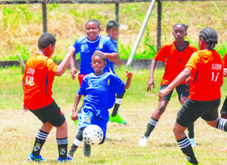 Court’s optical finalists to be decided in double-round programme today