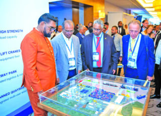 Ports cannot reach full potential without deeper harbours – Pres Ali