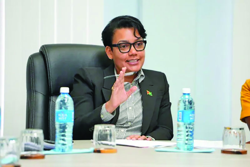 Foreign-owned businesses must meet tax, NIS, other regulatory requirements – Rodrigues