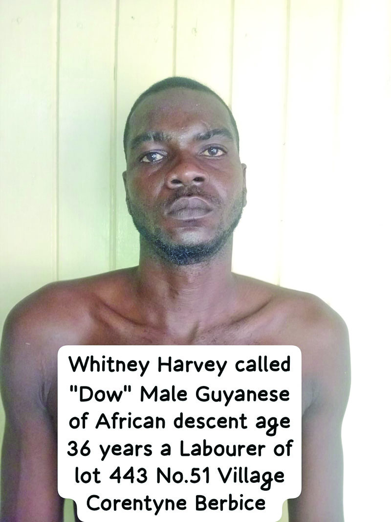 Corentyne labourer remanded after admitting to assaulting cop