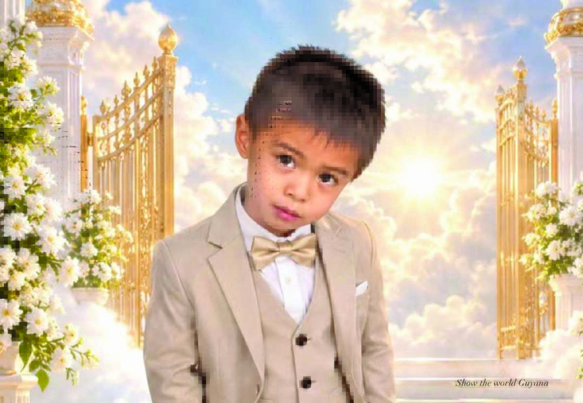 6-year-old boyâs death: 76-year-old Chinese man confesses to killing child after dispute with parents over debt