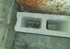 Ammo found hidden in concrete block at Pouderoyen