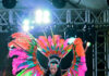Guyana Carnival unveils “Wildlife” theme & costumes for 2027 season