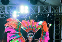 Guyana Carnival unveils “Wildlife” theme & costumes for 2027 season