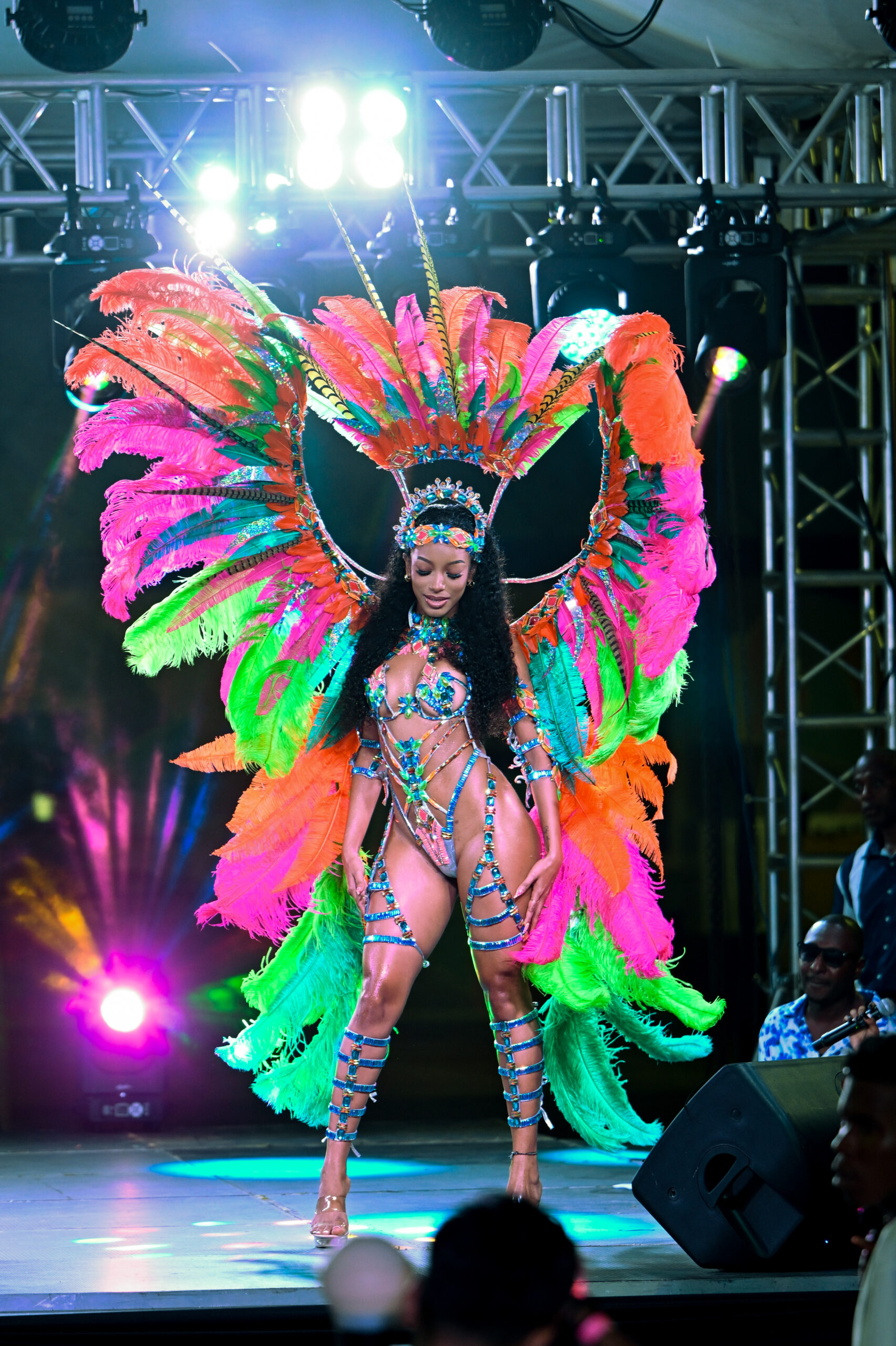Guyana Carnival unveils “Wildlife” theme & costumes for 2027 season