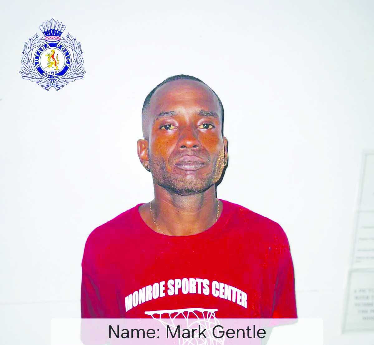 Miner remanded on gun, ammo possession charge