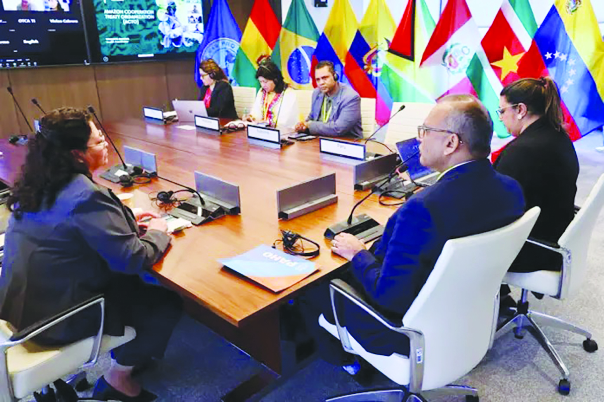 Guyana leads Amazon health talks on malaria, Indigenous health