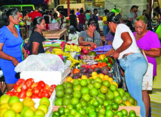 Guyana’s strong economy helping to keep inflation in check – IMF
