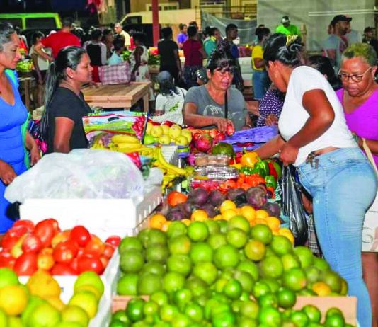 Guyana’s strong economy helping to keep inflation in check – IMF