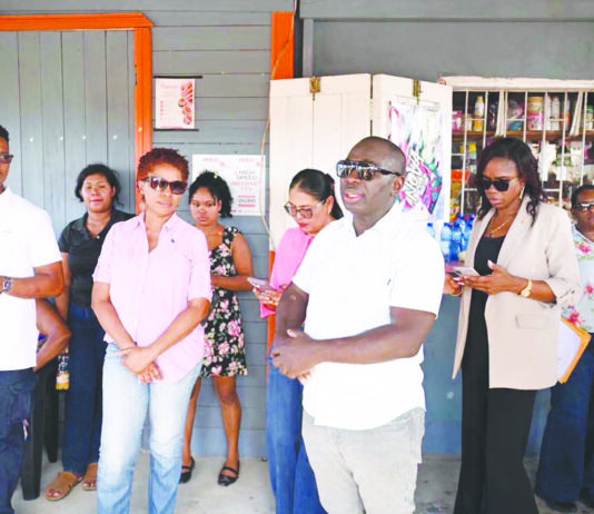 New electricity substation among plans for Linden Soesdyke Highway development